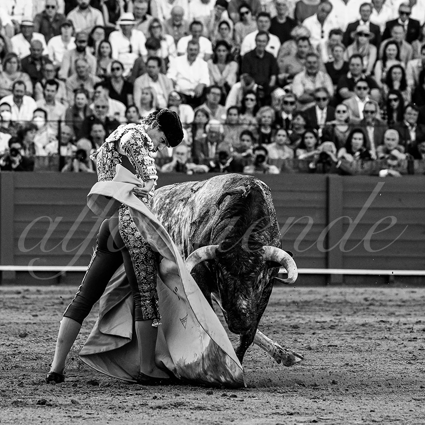 20230430 sevilla 023