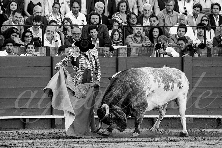 20230430 sevilla 022