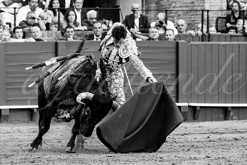 20230430 sevilla 019