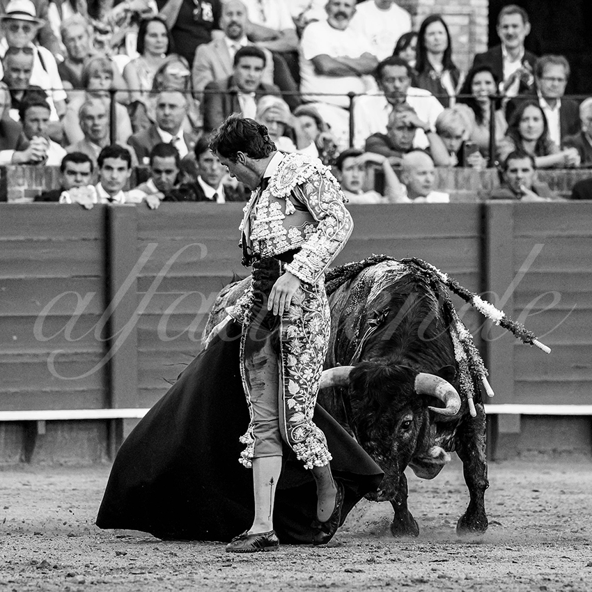 20230430 sevilla 017