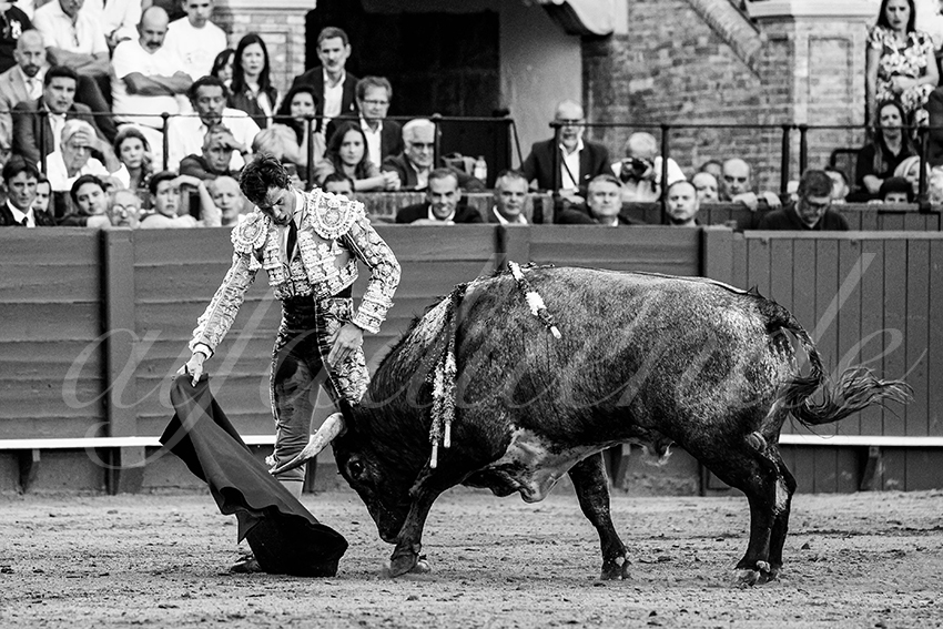 20230430 sevilla 016