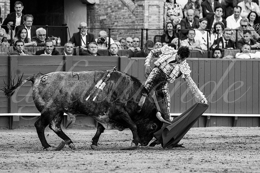 20230430 sevilla 015