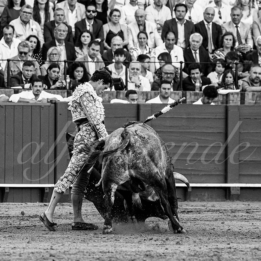 20230430 sevilla 014