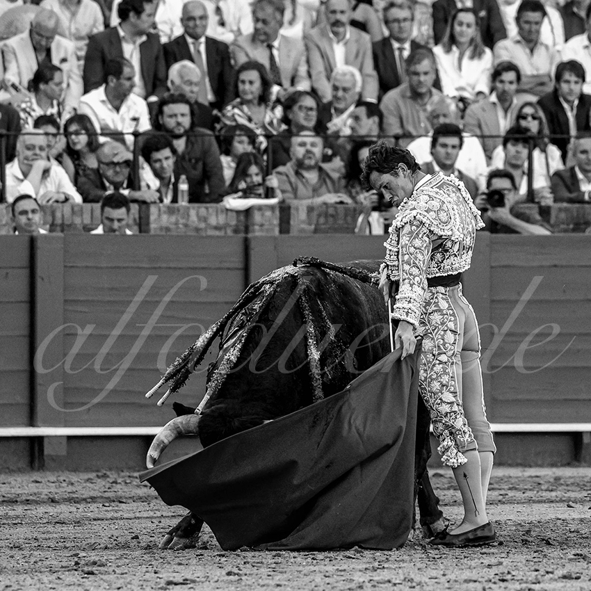 20230430 sevilla 012