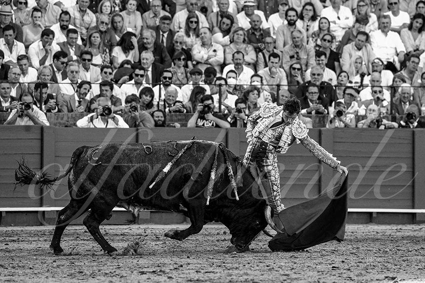 20230430 sevilla 011