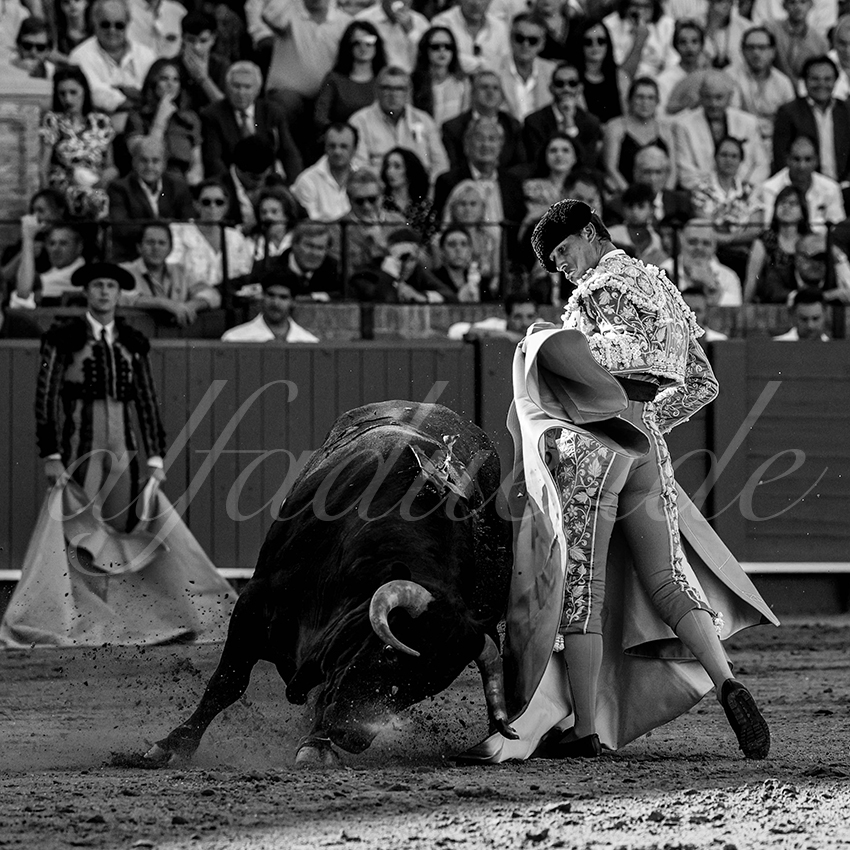 20230430 sevilla 010