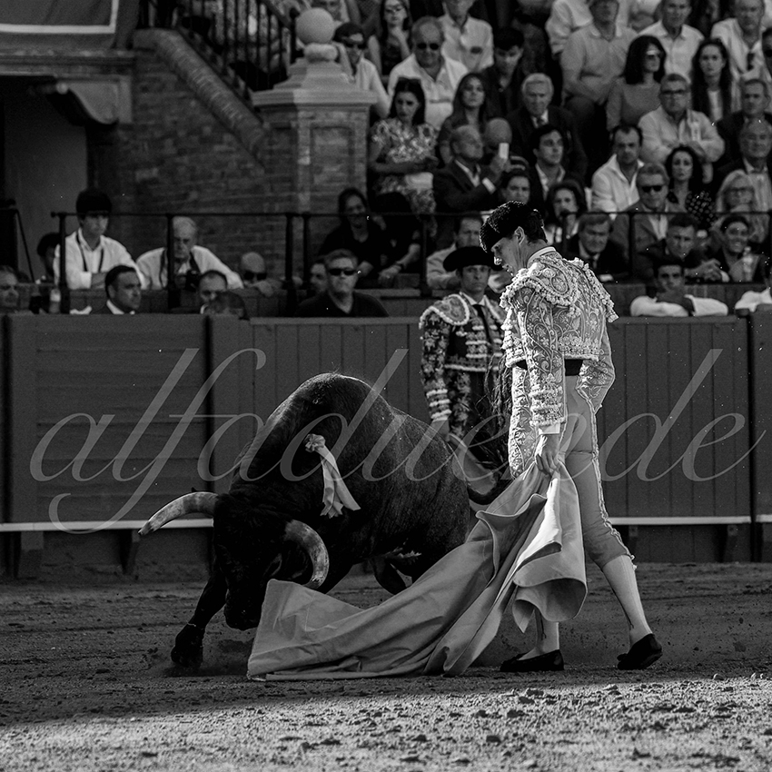 20230430 sevilla 009