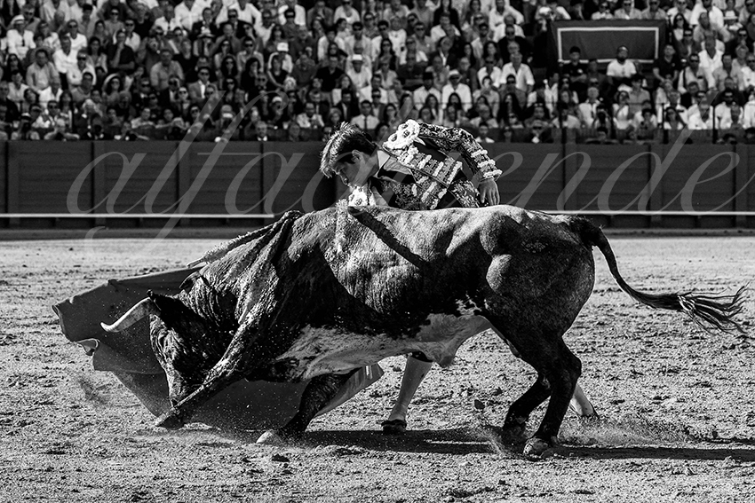 20230430 sevilla 008