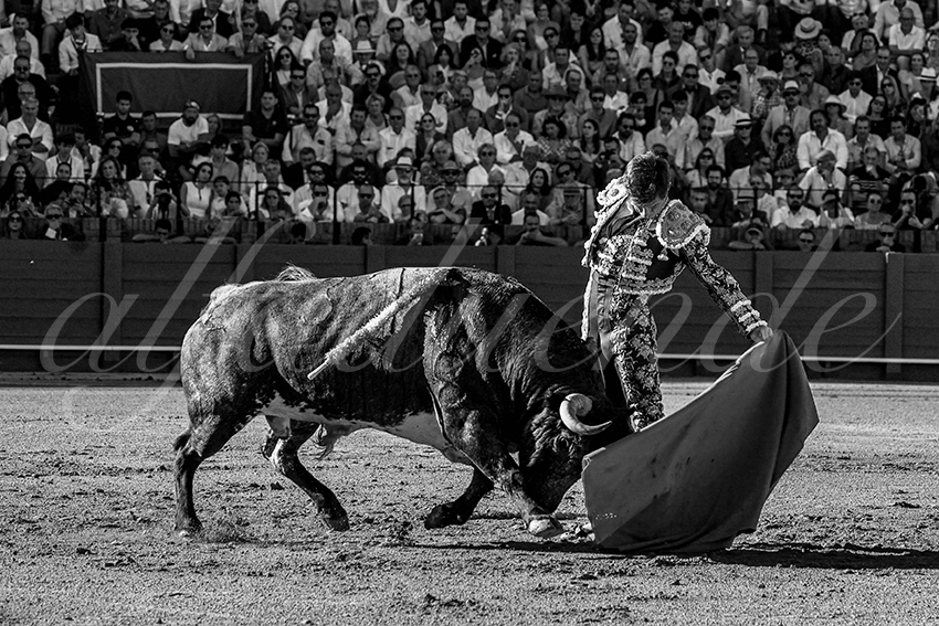 20230430 sevilla 007