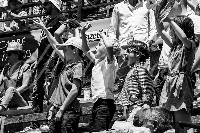 20230528 nimes nov 017