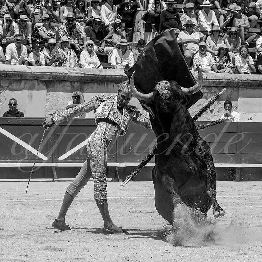 20230528 nimes nov 014