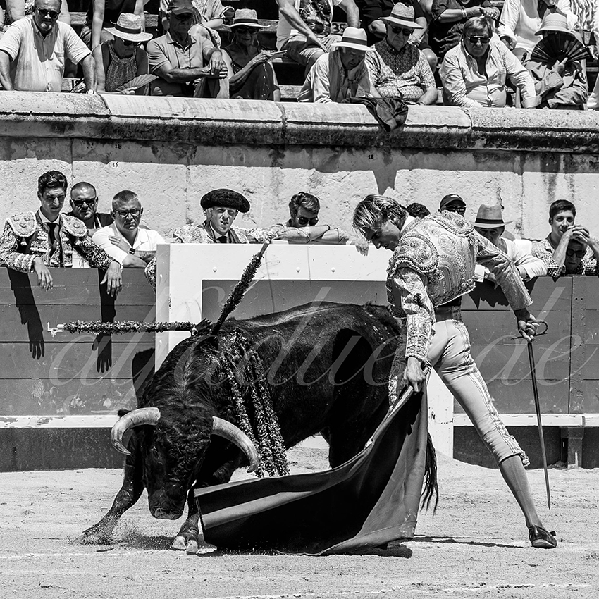 20230528 nimes nov 013