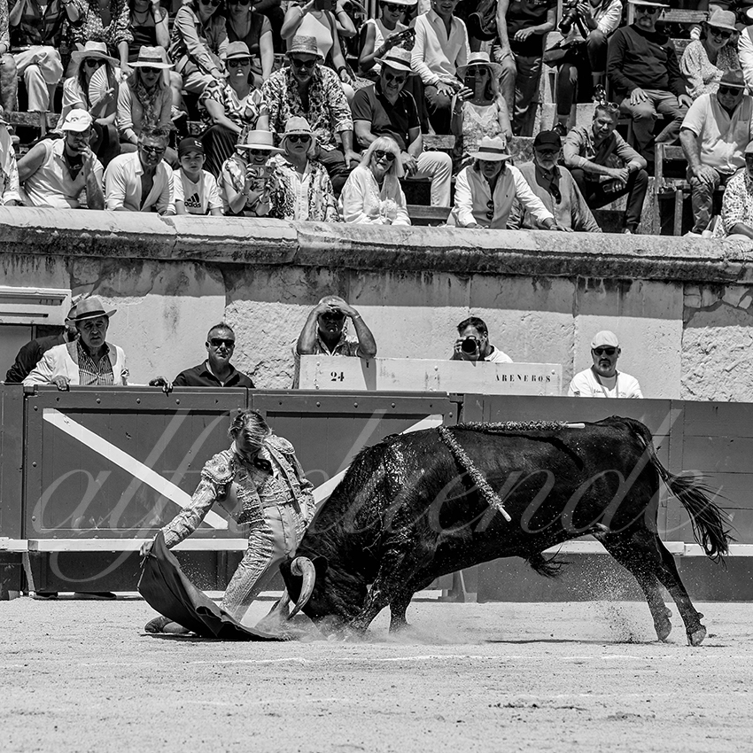 20230528 nimes nov 010