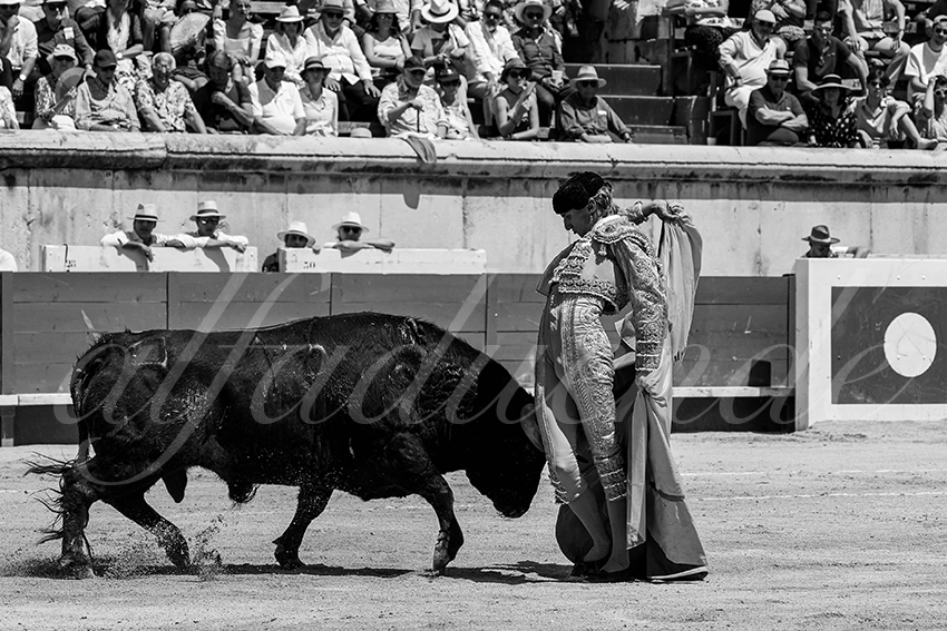 20230528 nimes nov 009