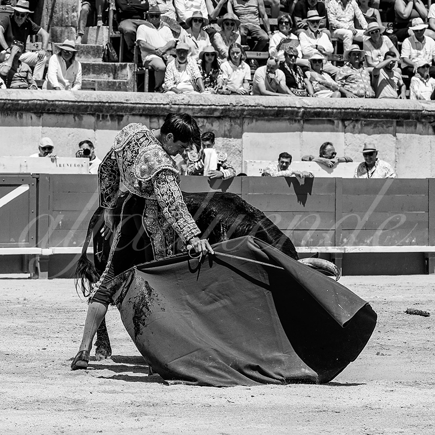 20230528 nimes nov 008