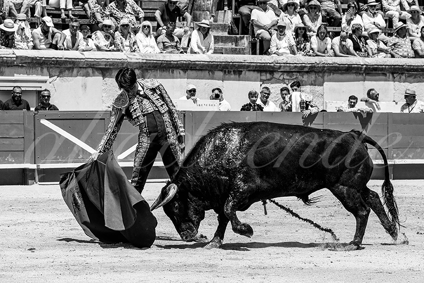 20230528 nimes nov 007