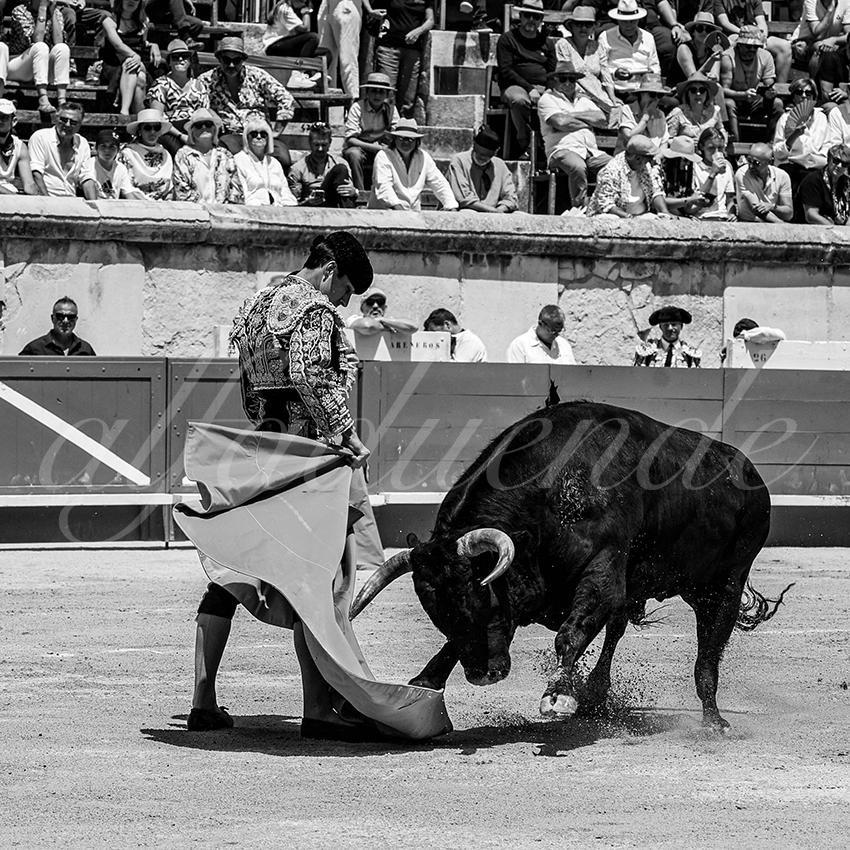 20230528 nimes nov 005