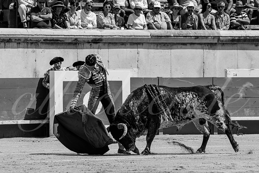 20230528 nimes nov 004