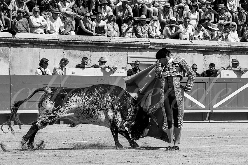 20230528 nimes nov 003