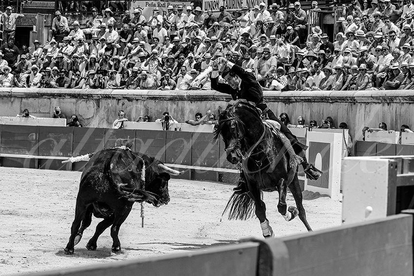 20230529 rejon nimes 014