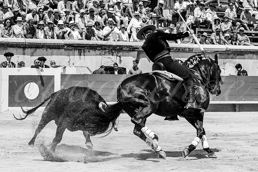 20230529 rejon nimes 011