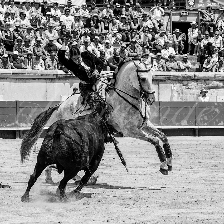 20230529 rejon nimes 007