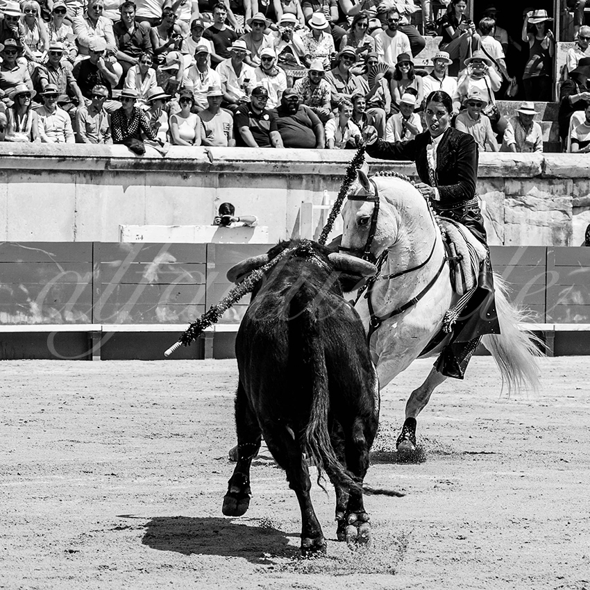 20230529 rejon nimes 004