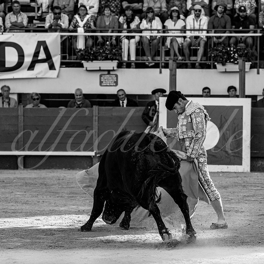 202300603 mauguio 017