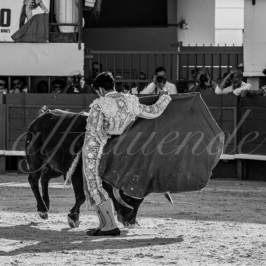 202300603 mauguio 016