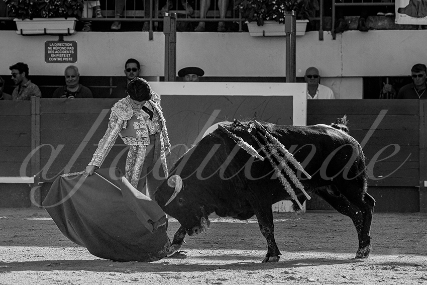 202300603 mauguio 014