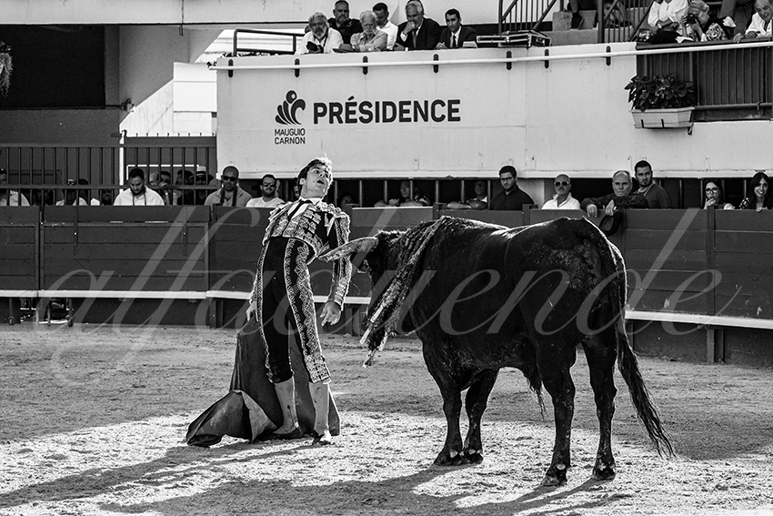 202300603 mauguio 012