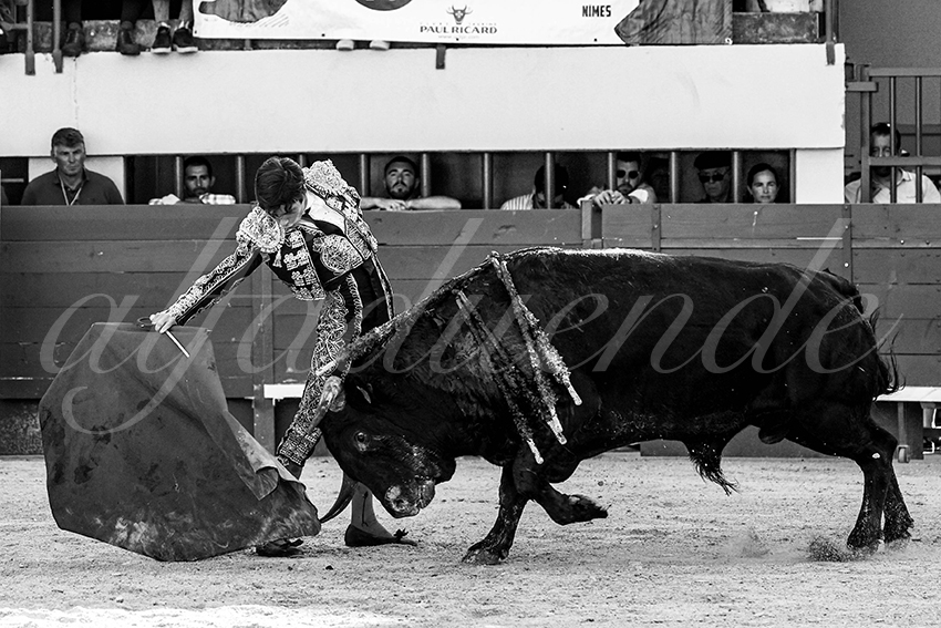 202300603 mauguio 011