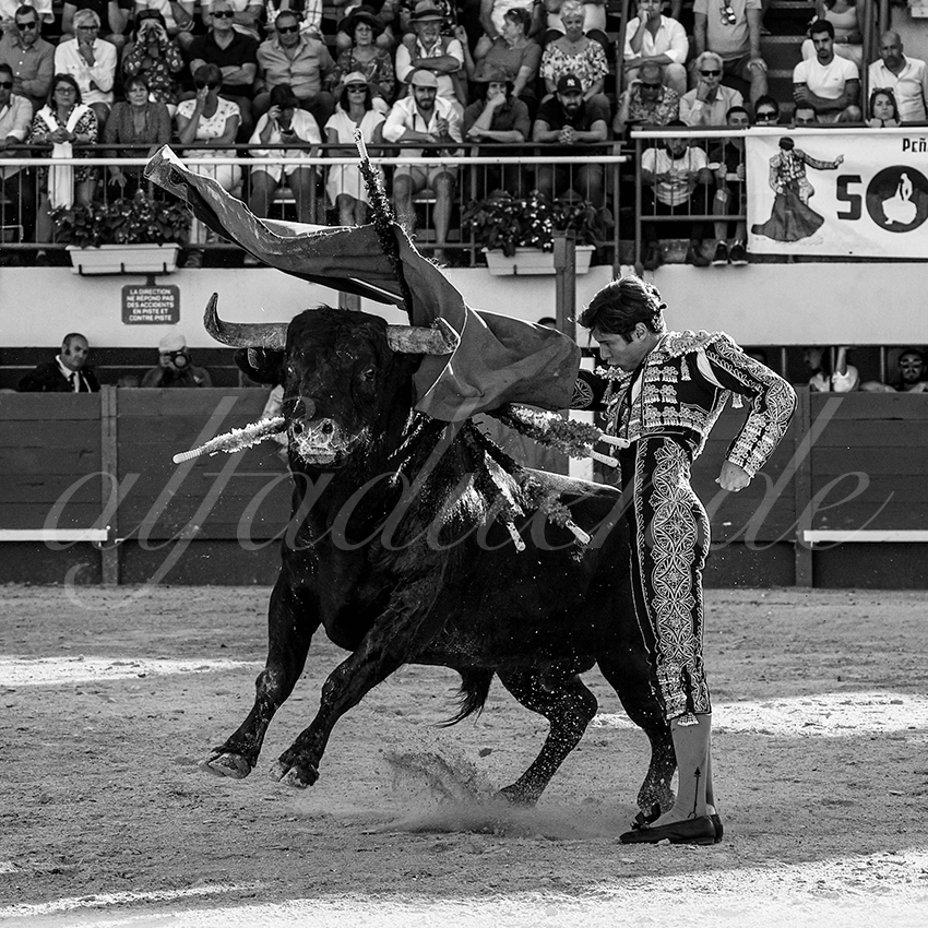 202300603 mauguio 010