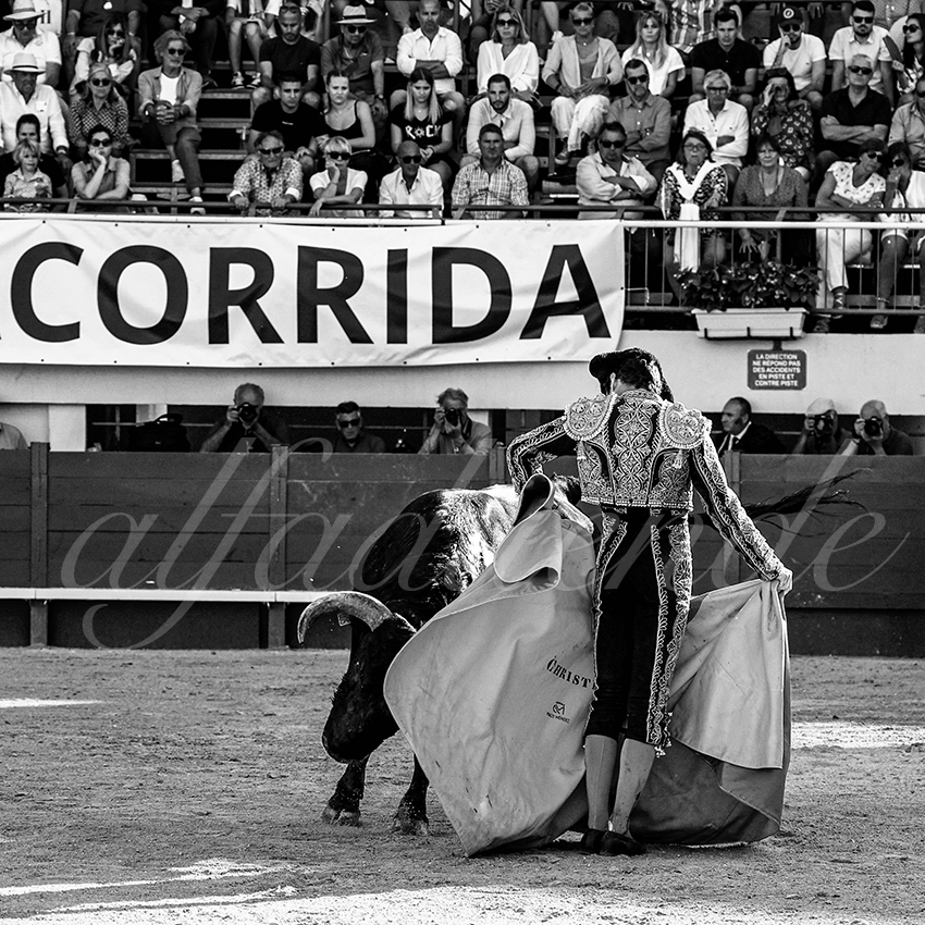 202300603 mauguio 007