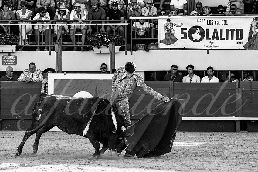 202300603 mauguio 005