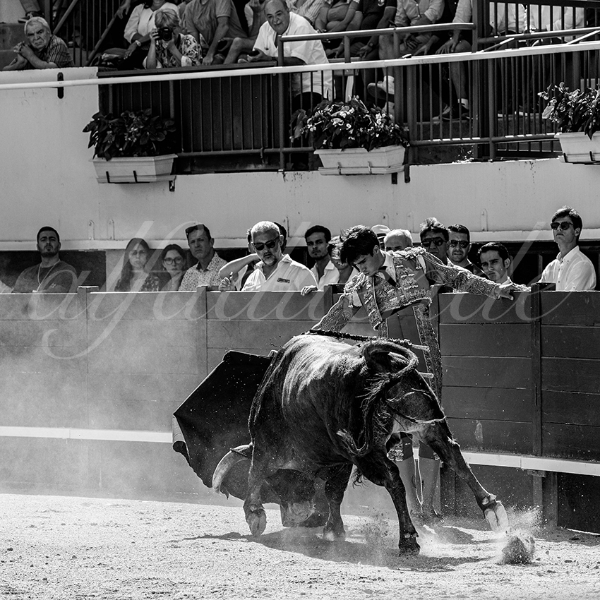 202300603 mauguio 002