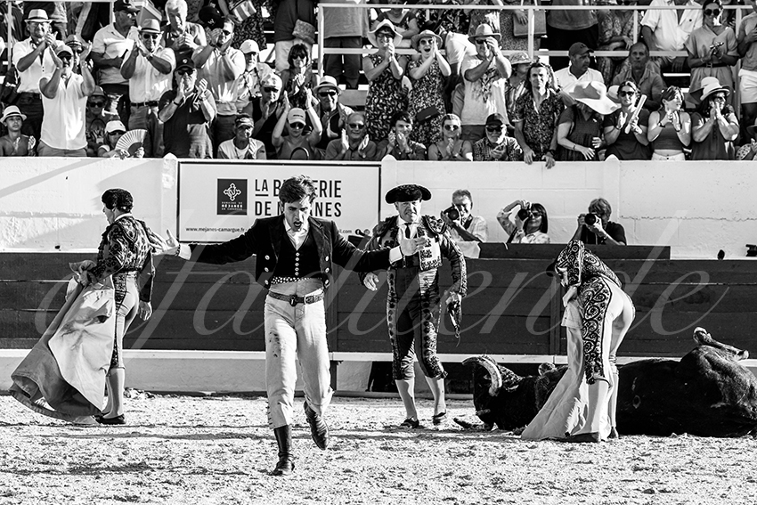 20230714 mejanes 017