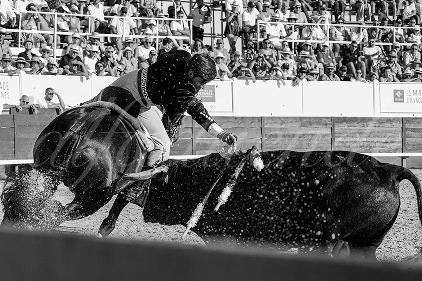 20230714 mejanes 015