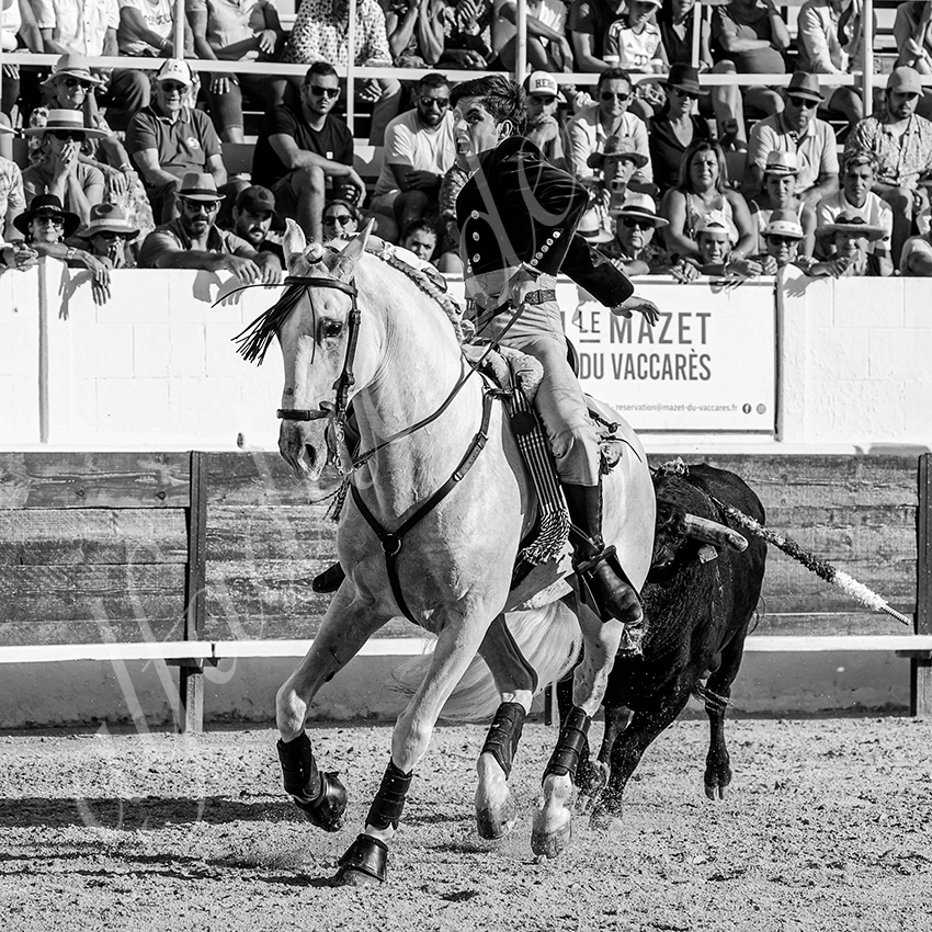 20230714 mejanes 014