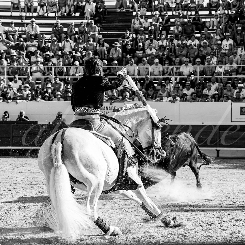 20230714 mejanes 013