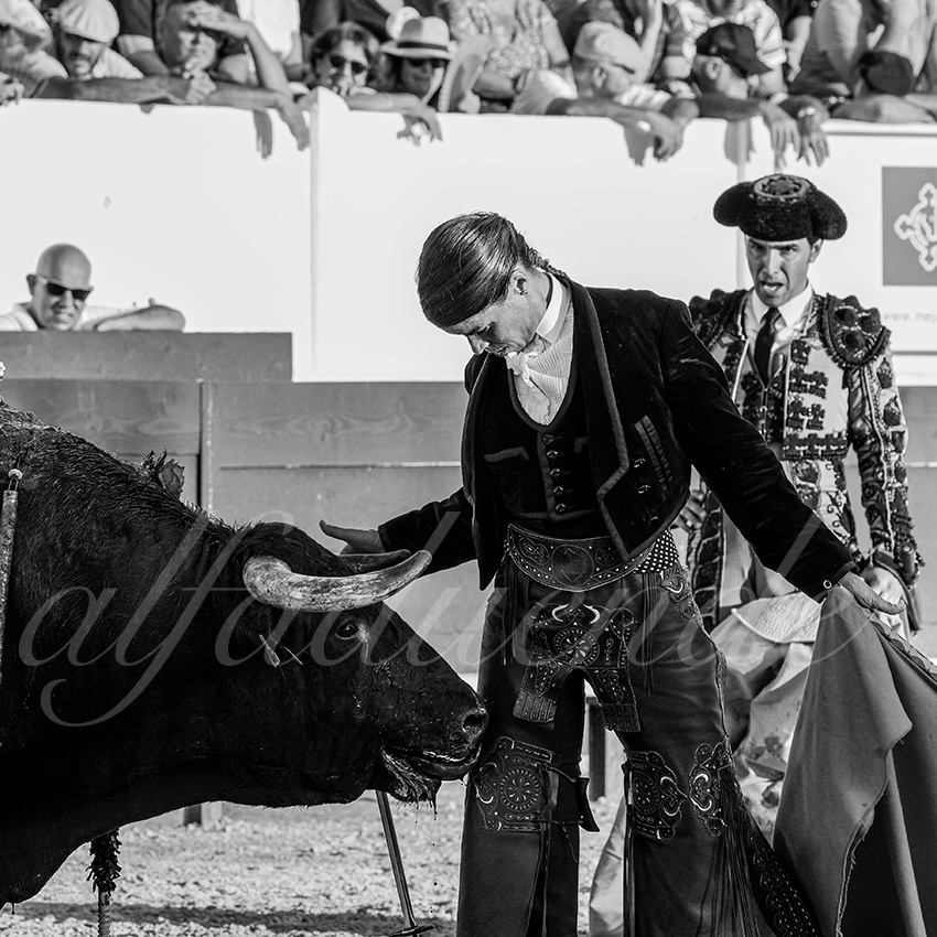 20230714 mejanes 012