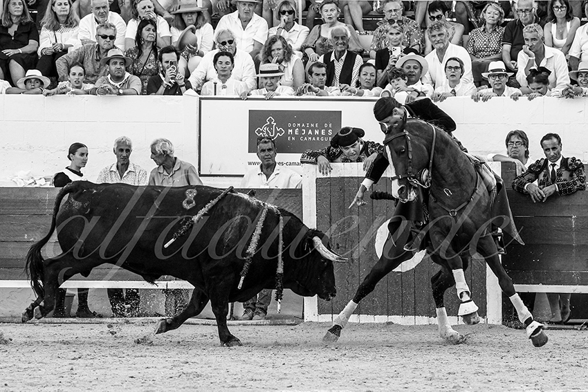 20230714 mejanes 011