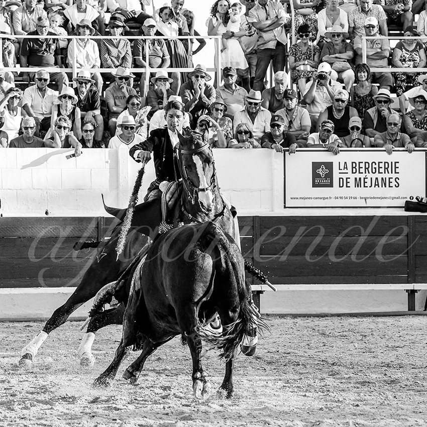 20230714 mejanes 010