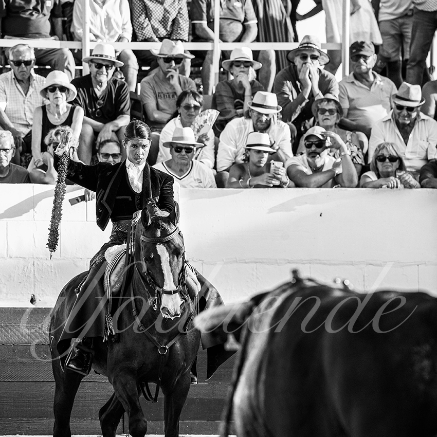 20230714 mejanes 009