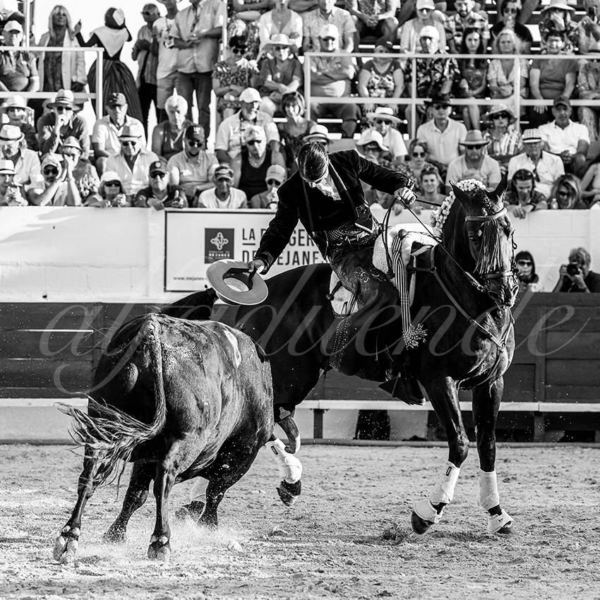 20230714 mejanes 008