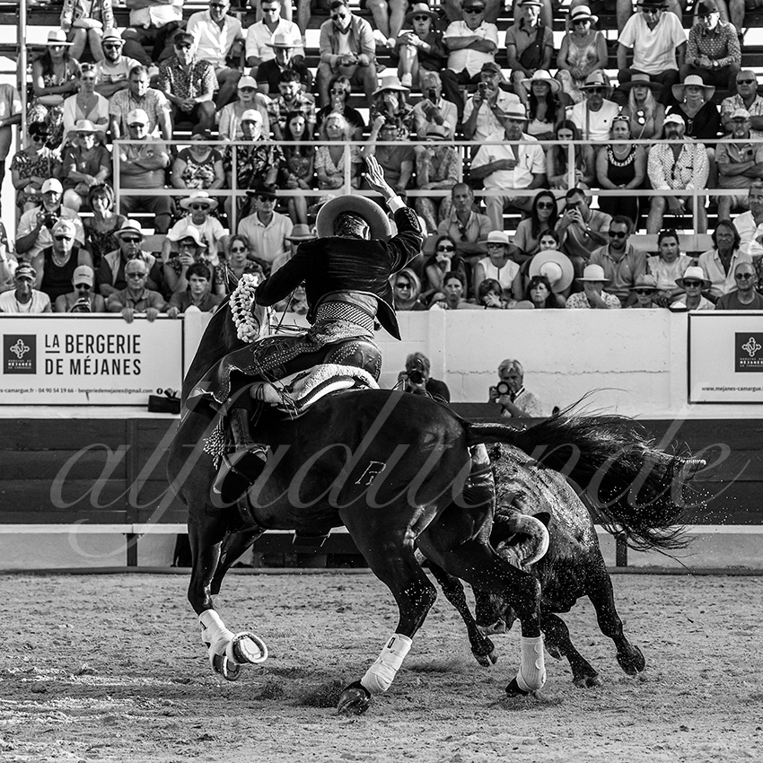 20230714 mejanes 007