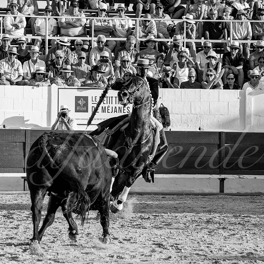 20230714 mejanes 006