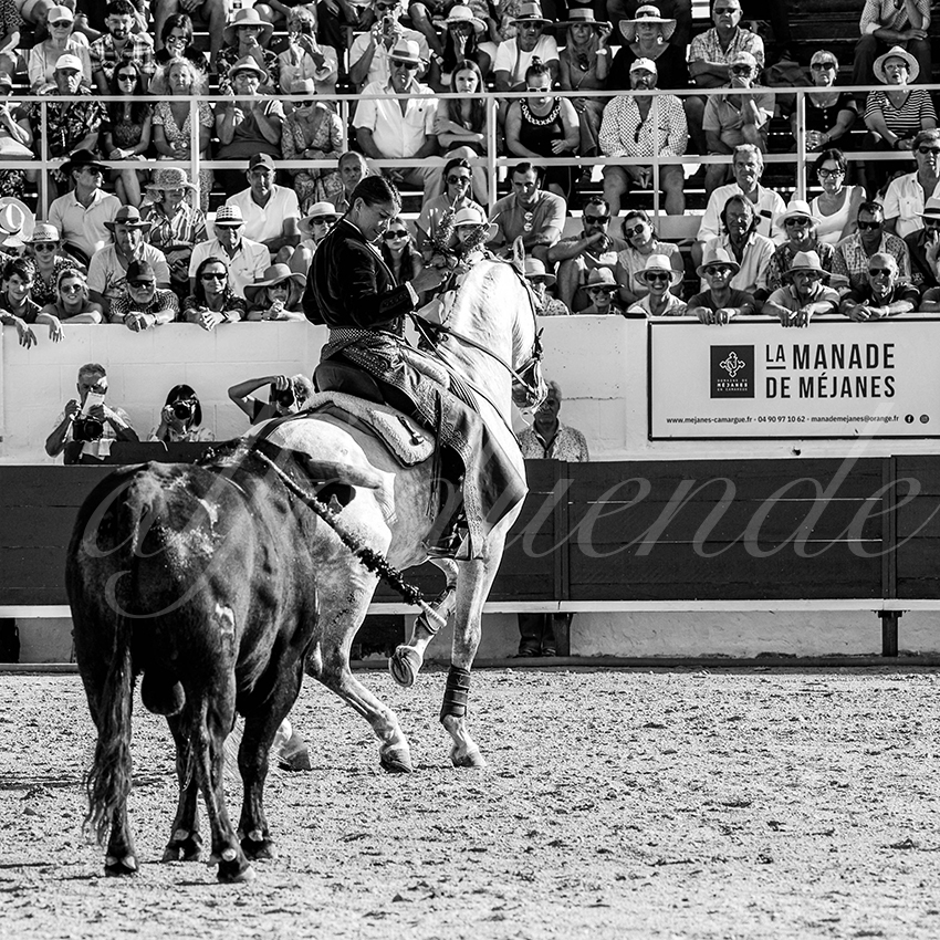 20230714 mejanes 005