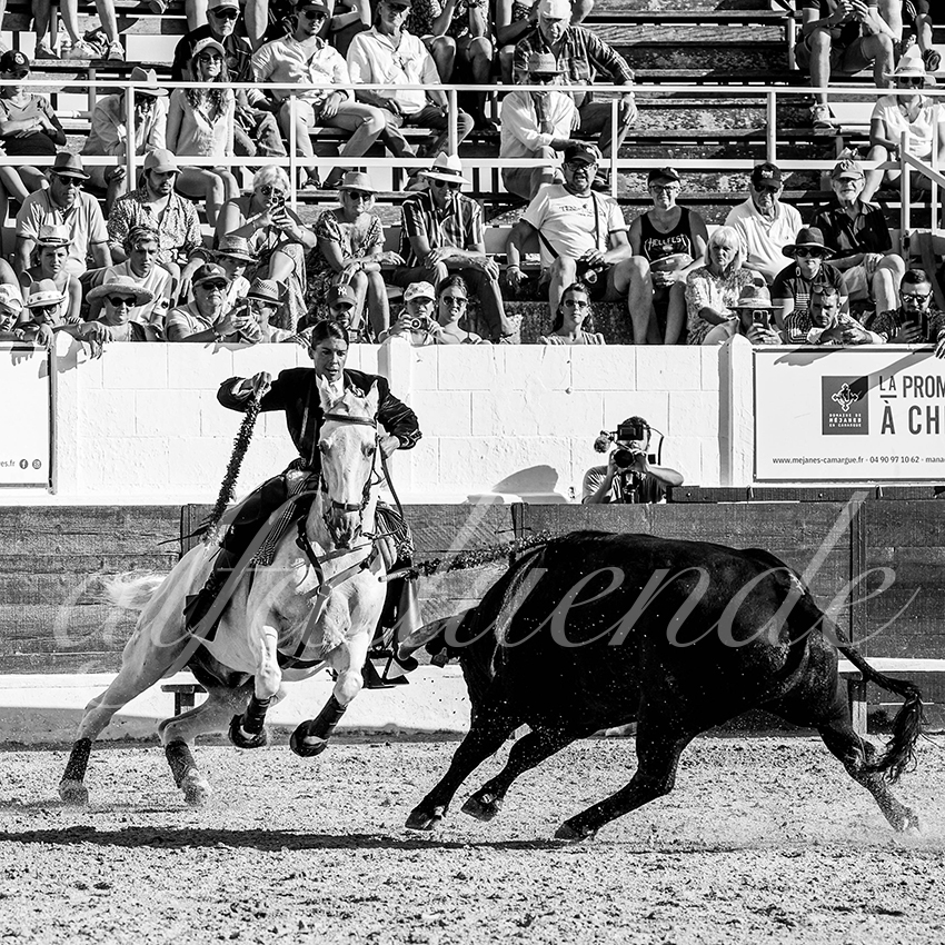 20230714 mejanes 004