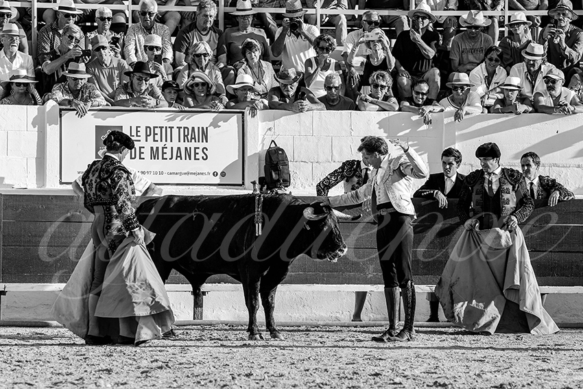 20230714 mejanes 003